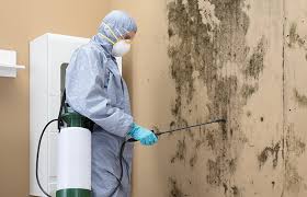 Mold Removal for HVAC Installations in Edgemere, MD